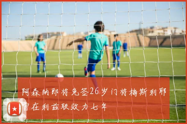 阿森纳即将免签26岁门将梅斯利耶曾在利兹联效力七年